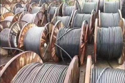 武汉回收服务全解析 资源循环利用，共建绿色城市